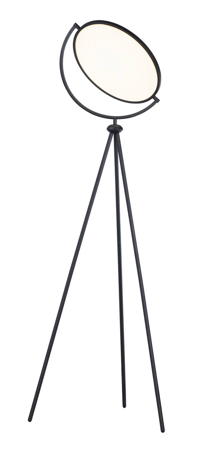 LED Floor Lamp, Paddle Design, Black Finish, 60 in Height, Modern Style