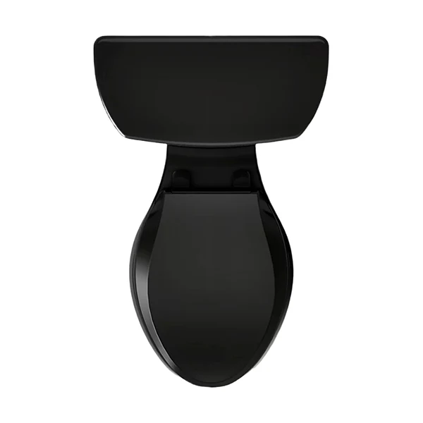 Two-Piece Elongated Toilet, Dual-Flush - Image 4