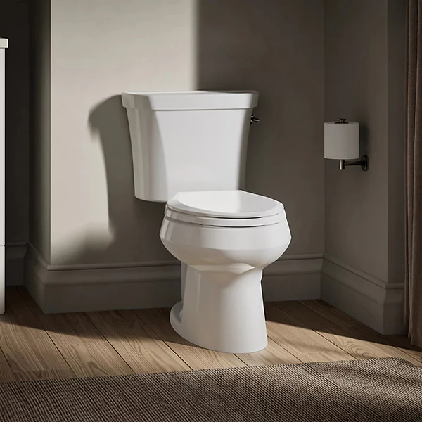 Wellworth Dual-Flush Two-Piece Elongated Toilet, White - Image 3