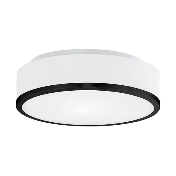 Charlie 2-Light 11.5 in Mount Ceiling Light, Black Flush
