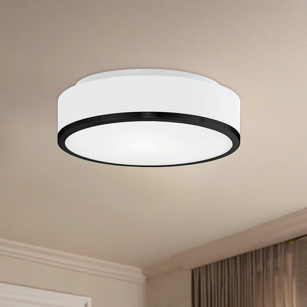 Charlie 2-Light 11.5 in Mount Ceiling Light, Black Flush - Image 3