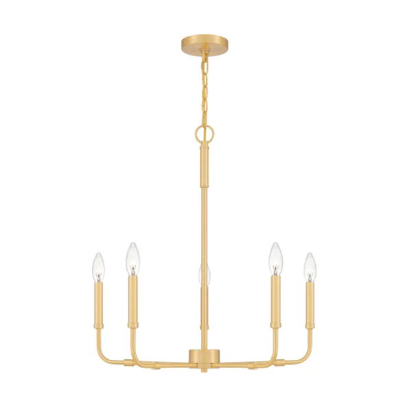 Abner 5-Light Transitional Damp Rated Chandelier, Aged Brass