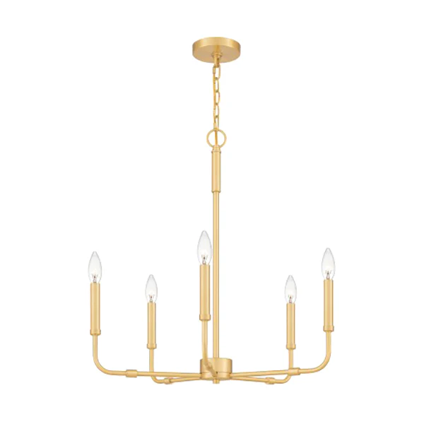 Abner 5-Light Transitional Damp Rated Chandelier, Aged Brass - Image 2