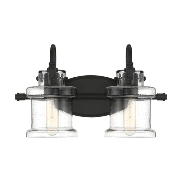 Danbury 2-Light Bathroom Vanity Light with Clear Glass Shade, Earth Black